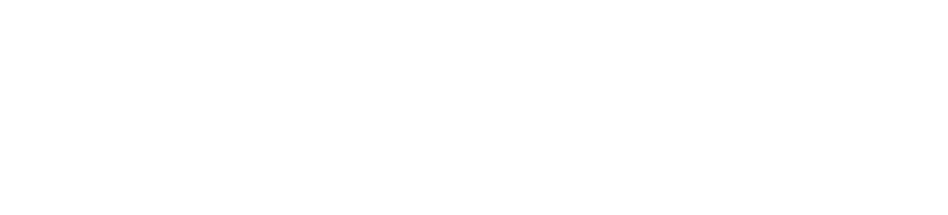 TOAN SCHLOSSER GmbH